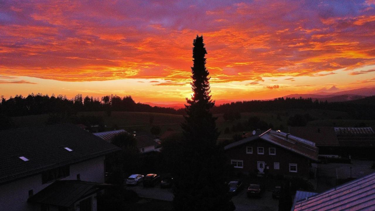 Zur Neuen Post Landgasthof Herzogsreut Экстерьер фото