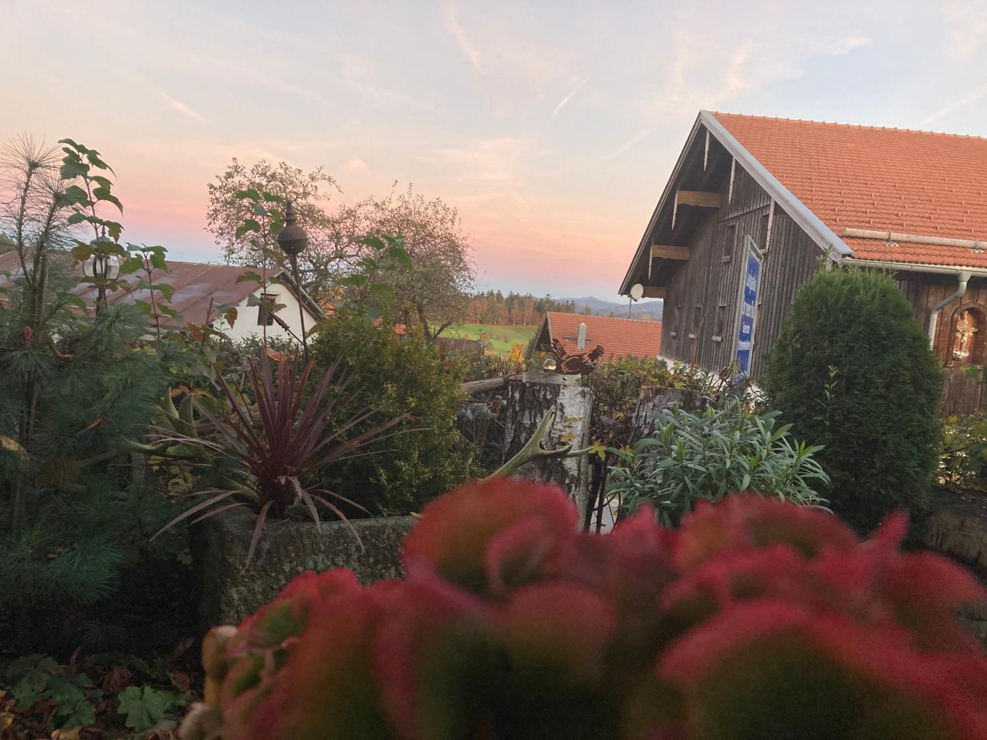 Zur Neuen Post Landgasthof Herzogsreut Экстерьер фото