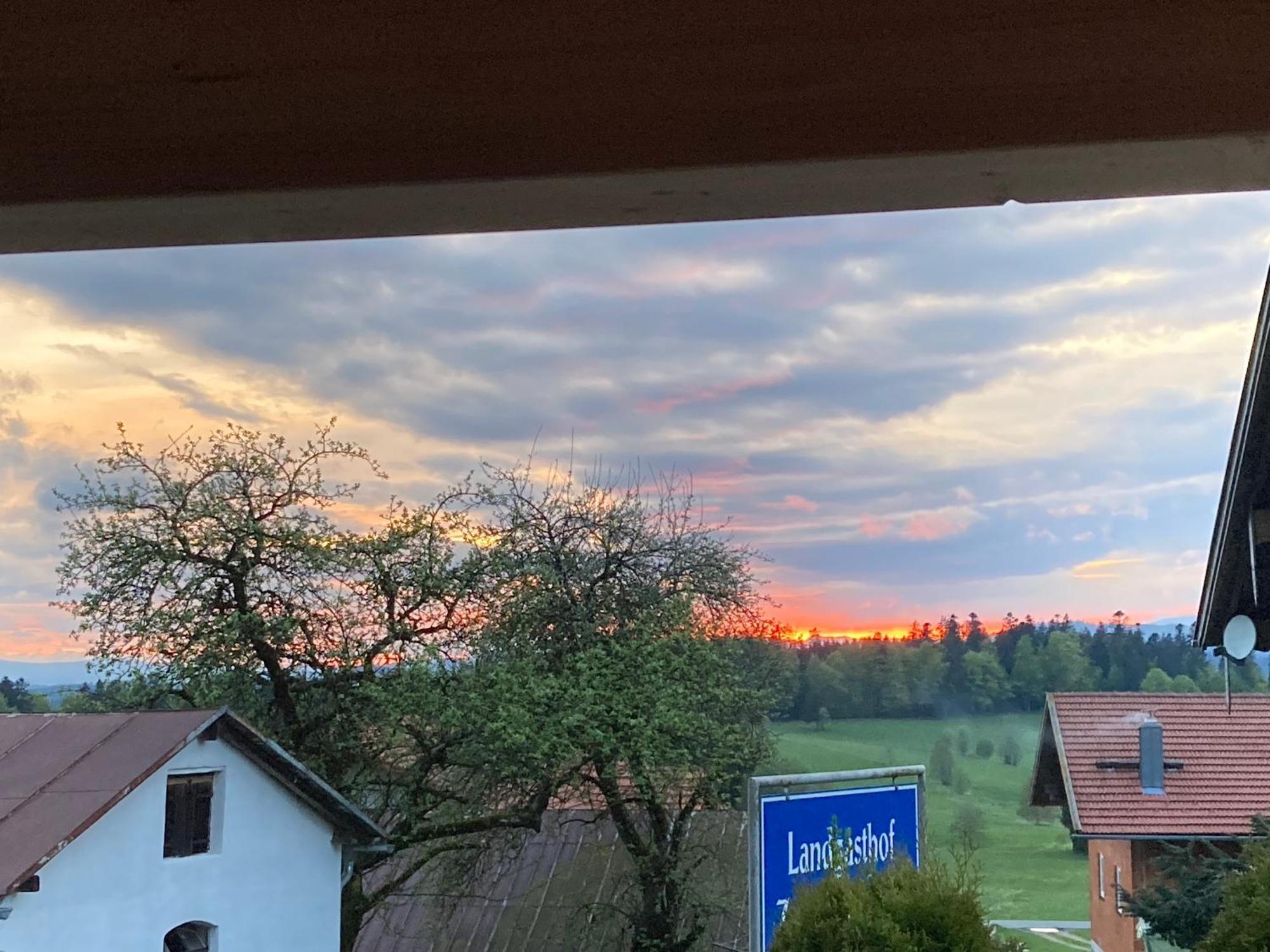 Zur Neuen Post Landgasthof Herzogsreut Экстерьер фото