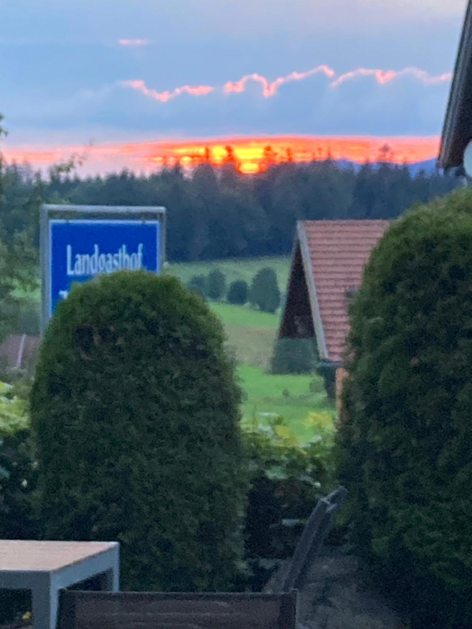 Zur Neuen Post Landgasthof Herzogsreut Экстерьер фото